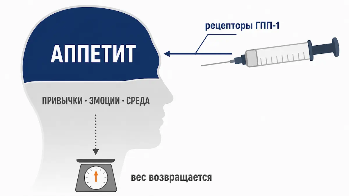 Механизм действия укола для похудения схема как агонист ГПП-1 снижает аппетит, но не меняет привычки