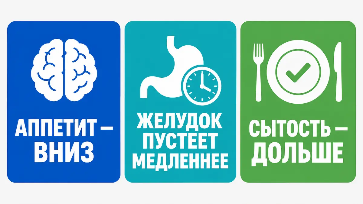 Механизм действия семаглутида Как работает Семавик: снижение аппетита, замедление опорожнения желудка, чувство сытости