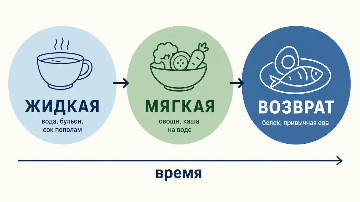 Три фазы выхода из голодания три фазы выхода из голодания: жидкая, мягкая, возврат к рациону
