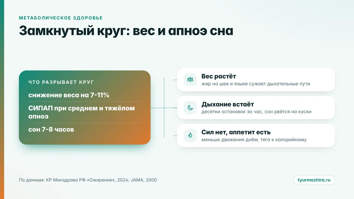 Замкнутый круг: лишний вес усиливает апноэ сна, апноэ сна мешает снижать вес