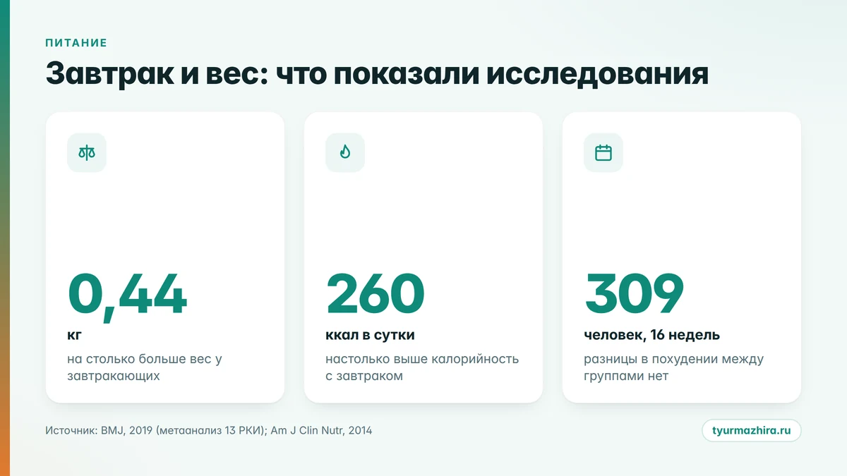 Завтрак и вес: данные рандомизированных исследований завтраки для похудения, что показали рандомизированные исследования, цифры