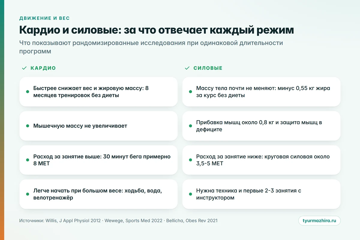 Кардио и силовые: за что отвечает каждый режим Кардио или силовые для похудения: сравнение по весу, мышцам и расходу энергии
