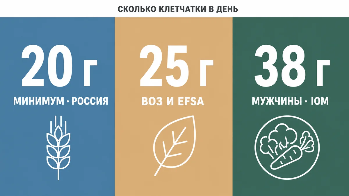 Норма клетчатки в день по рекомендациям Роспотребнадзора, ВОЗ и IOM в граммах