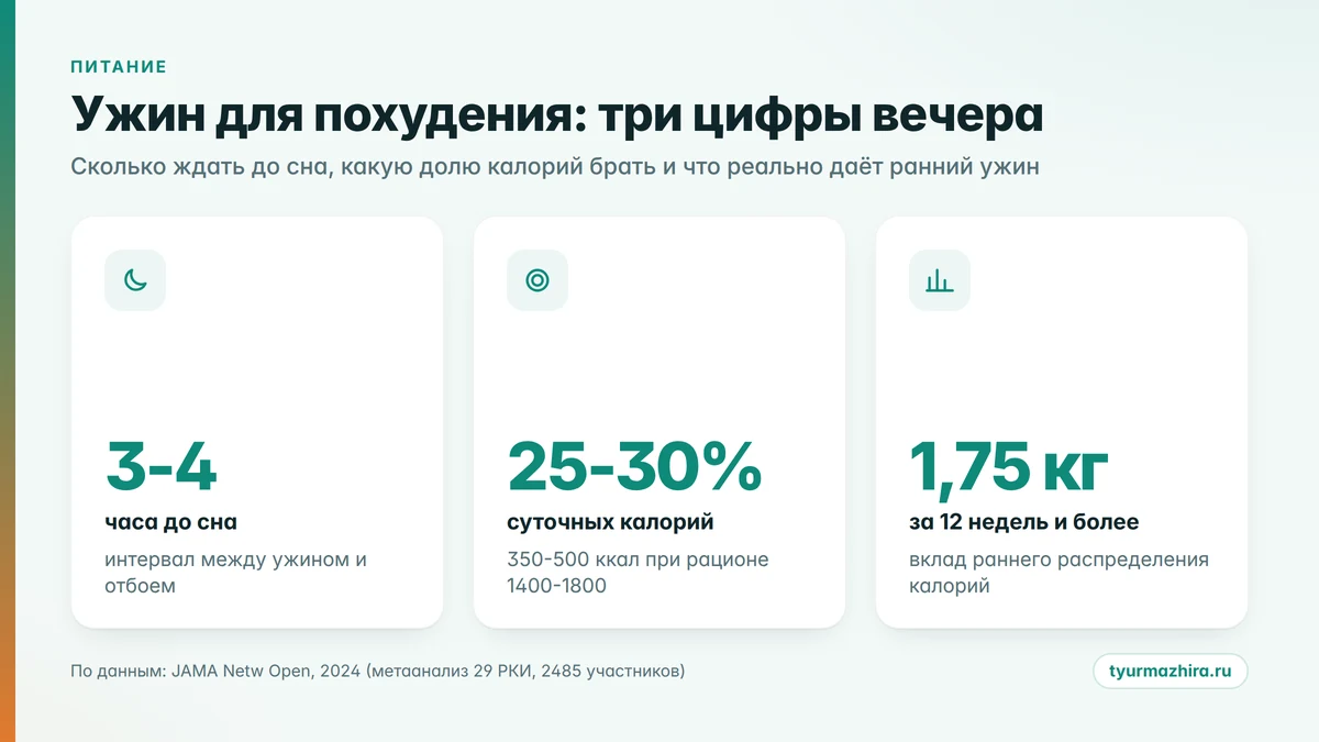 Ужин для похудения: во сколько ужинать, интервал до сна и вклад раннего распределения калорий в снижение веса