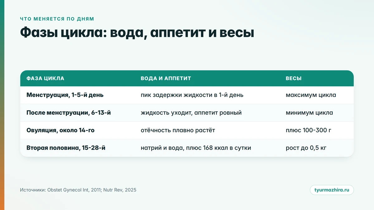 Фазы менструального цикла: вода, аппетит и цифра на весах по дням