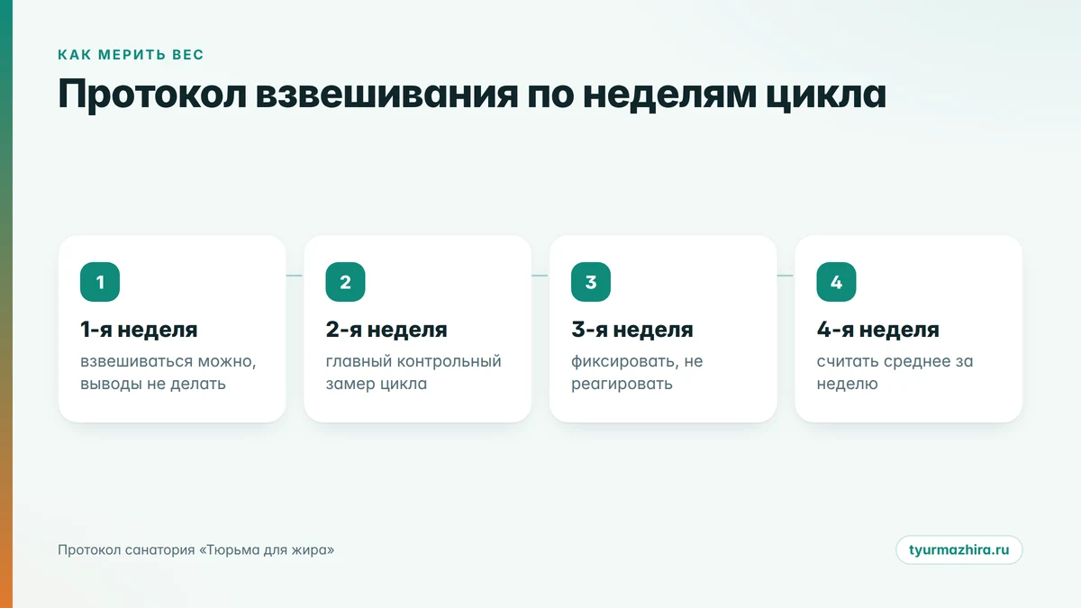 Как меняется вес по фазам цикла: протокол взвешивания по неделям