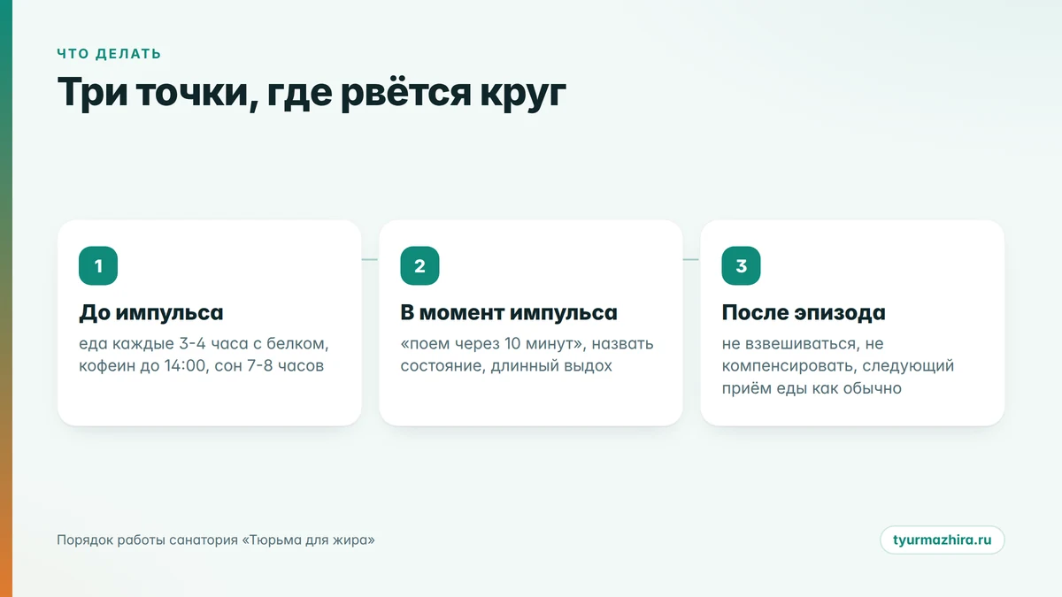 Три точки, где рвётся круг тревожного переедания три точки выхода из круга тревожного переедания: до импульса, в момент, после эпизода