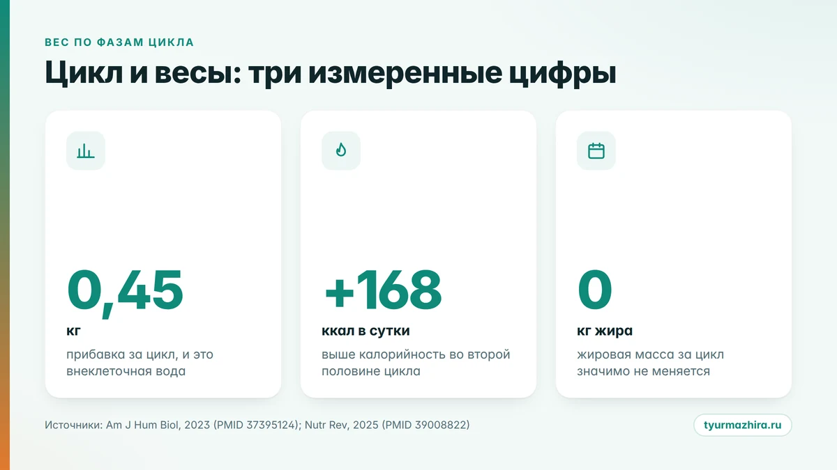 Вес по фазам цикла: три измеренные цифры - 0,45 кг воды, 168 ккал аппетита, ноль килограммов жира